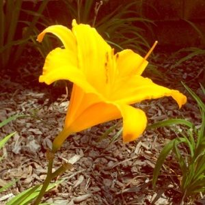 Meet your Posher, Brianna